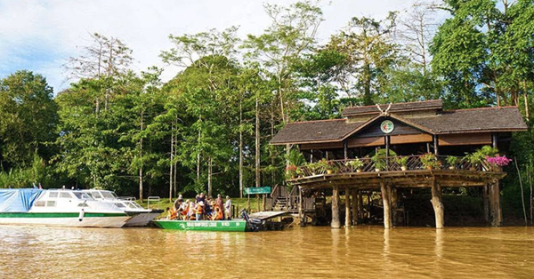 سوکا رینفارست لاج (Sukau Rainforest Lodge - SRL)