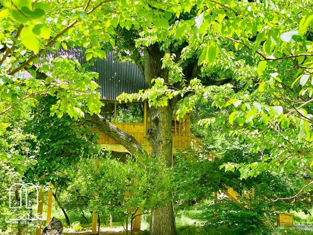 کلبه درختی یکخوابه آرامیس