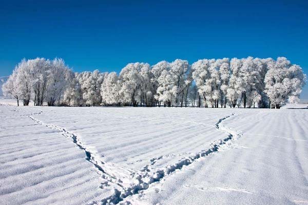 طبیعت زمستانی اردبیل 