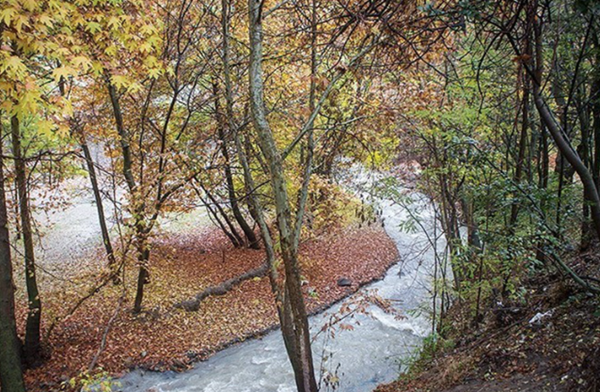 کردان