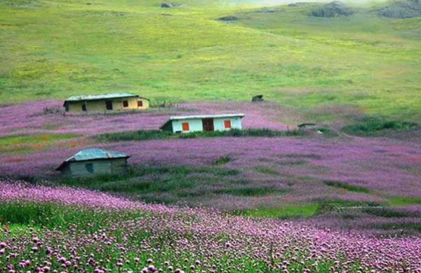 ییلاق سوباتان