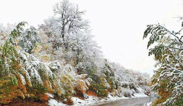بهترین زمان سفر به شمال: راهنمای فصلی