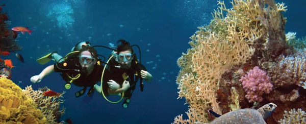 غواصی (Diving)