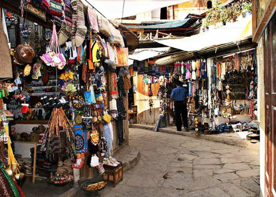 کاوش خانوادگی
