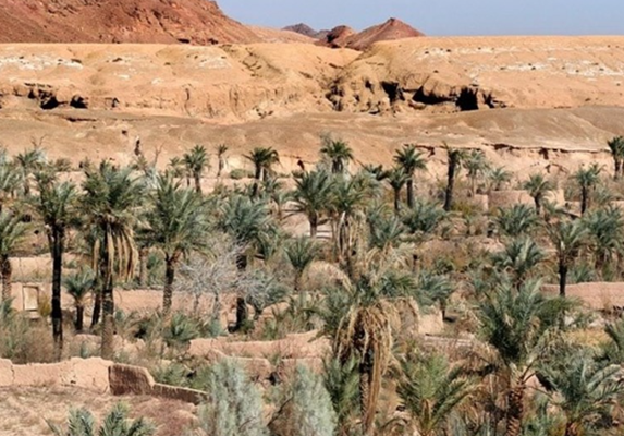 واحه‌ گرمه