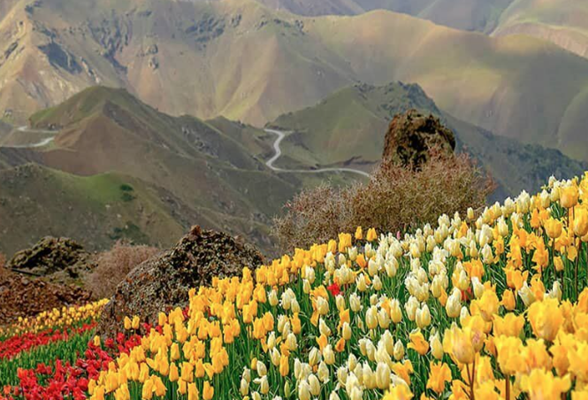 روستای کندر (کرج): دشت لاله‌ ها و چشمه‌ های تاریخی