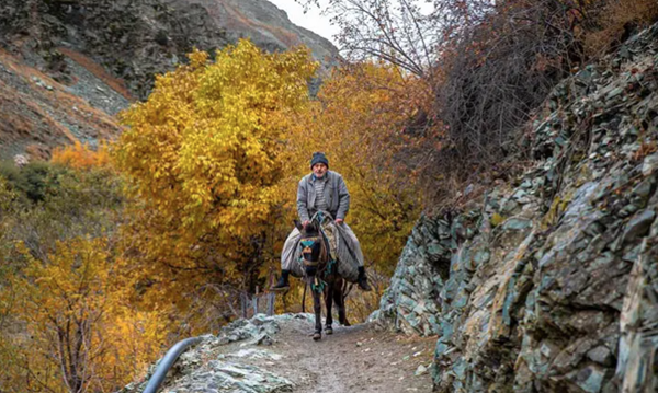 روستای آهار و شکرآب (شمیرانات): دره‌ ای رویایی برای طبیعت‌ گردی