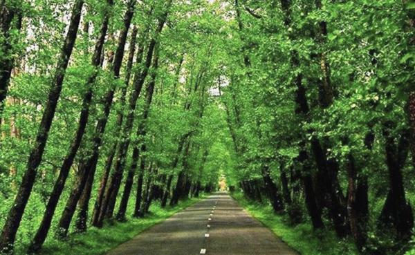 گیسوم و مسیر اسالم به خلخال