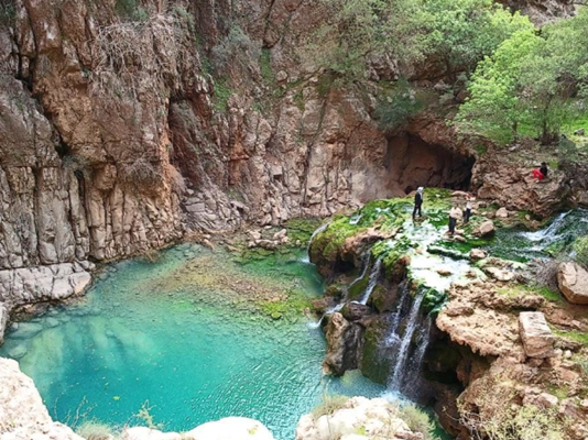 تنگ دم اسب