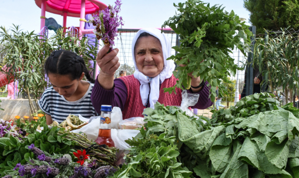 جشنواره گیاهان دارویی آلاچاتی