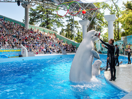 دلفیناریوم ریویرا (Riviera Dolphinarium)