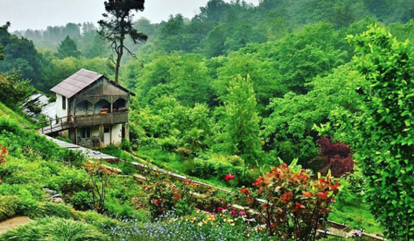 باغ گیاه‌ شناسی باتومی