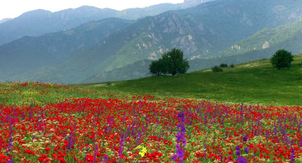 میانگین دمای هوای ارمنستان