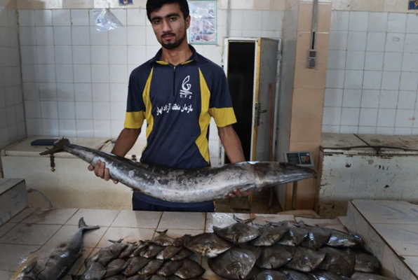 بازار ماهی‌ فروشان چابهار