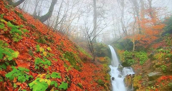 پاییز، فصل متفاوت مازندران