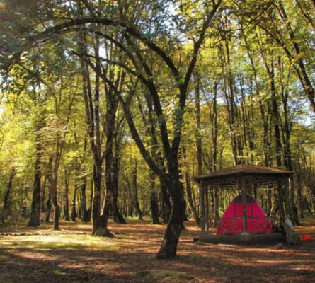 پارک جنگلی سی‌ سنگان (نوشهر)