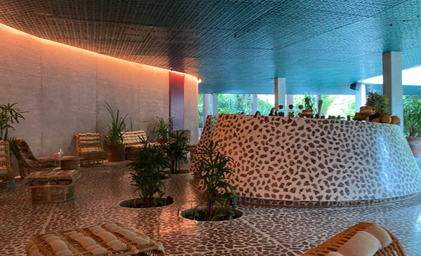 دسا پوتیتو هد (Desa Potato Head)