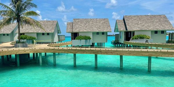 آنانیا مادیوارو مالدیو: تلفیق ظرافت آلمانی و روح استوایی