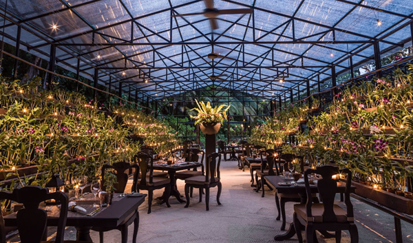 هنر آشپزی و رستوران&zwnj; گردی در سال ۲۰۲۵: مالدیو در لیست ۱۰ کشور برتر جهان