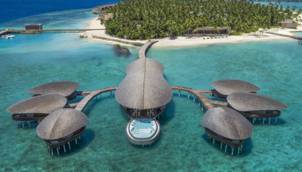 پایداری رادیکال و بازآفرینی محیط&zwnj; زیست در سال ۲۰۲۵