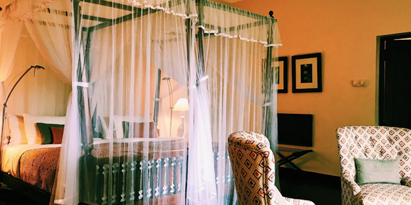 سیلان تی تریلز (Ceylon Tea Trails): پیشگام در میراث و خدمات